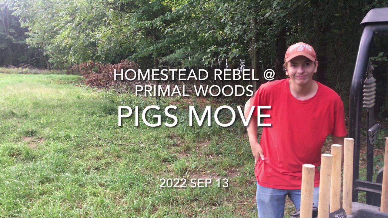 2022 Sep 13 Pigs Move