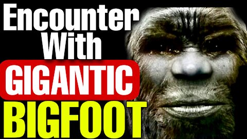 Hikers run into a GIGANTIC BIGFOOT