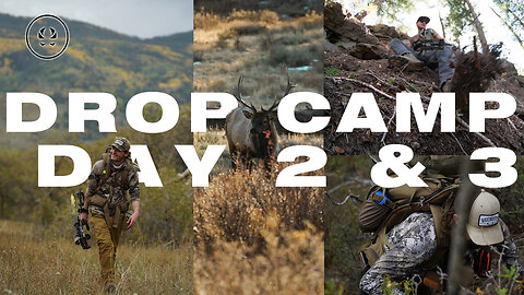 Colorado OTC Drop Camp | Giant Bull in the roughest terrain we've ever been in