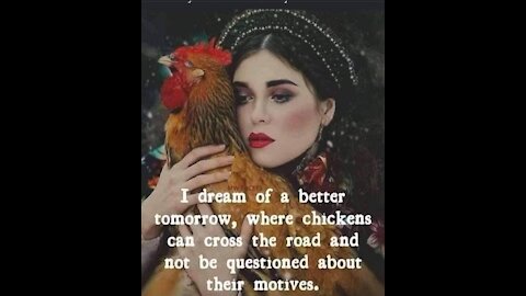 Happy chickens