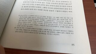 요한계시록 신학 예언의 절정 리처드 보컴 묵시 전승 말 스타디온 에녹서 유대교 기독교 탈무드 긴자 바벨론 랍비 시몬벤요하이 기도 헬라어 티부르