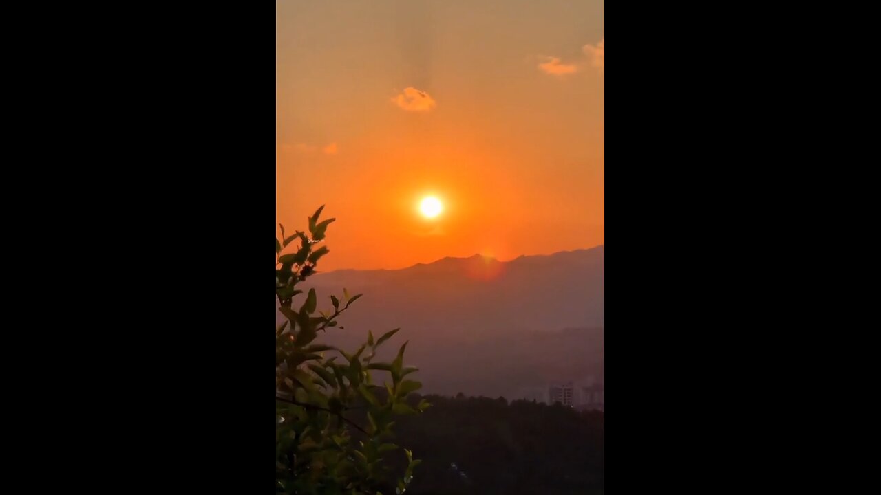 Morning shine 🌄🌅