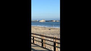 Shipwreck WWI Tanker SS Papo Alto
