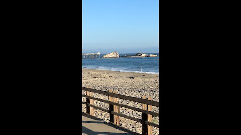 Shipwreck WWI Tanker SS Papo Alto