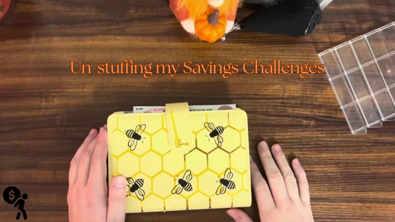 Unstuffing my Savings Challenge Binder: Making another debt payment