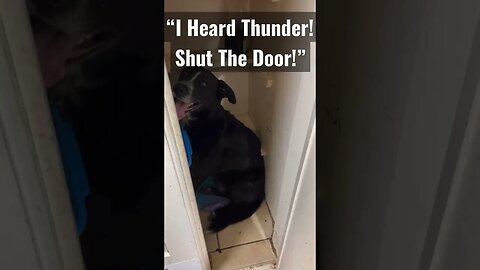 Storm Shelter?