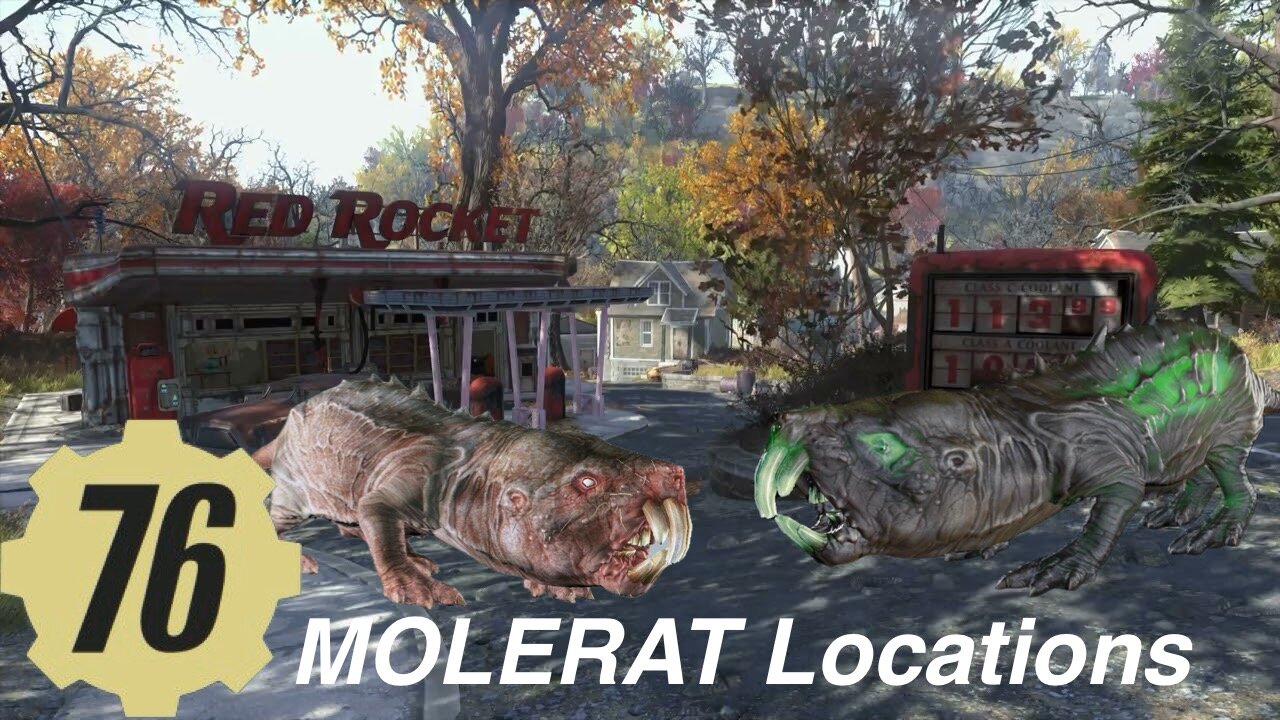 Fallout 76 MoleRat Locations Guide fallout76 daily challenge- kill a mole rat