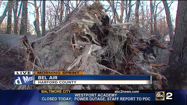 Aftermath of windstorm felt throughout area