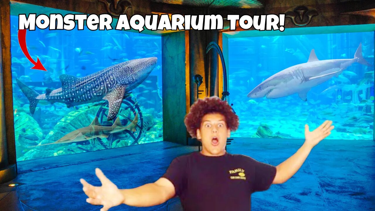 I Found An INSANE MONSTER Fish AQUARIUM!