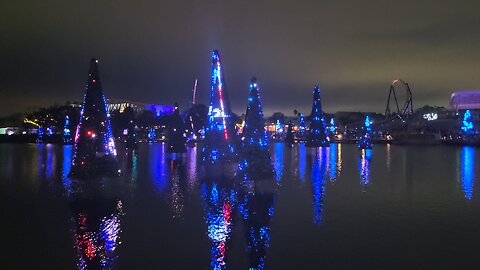 Seaworld Orlando Christmas Tree Lake