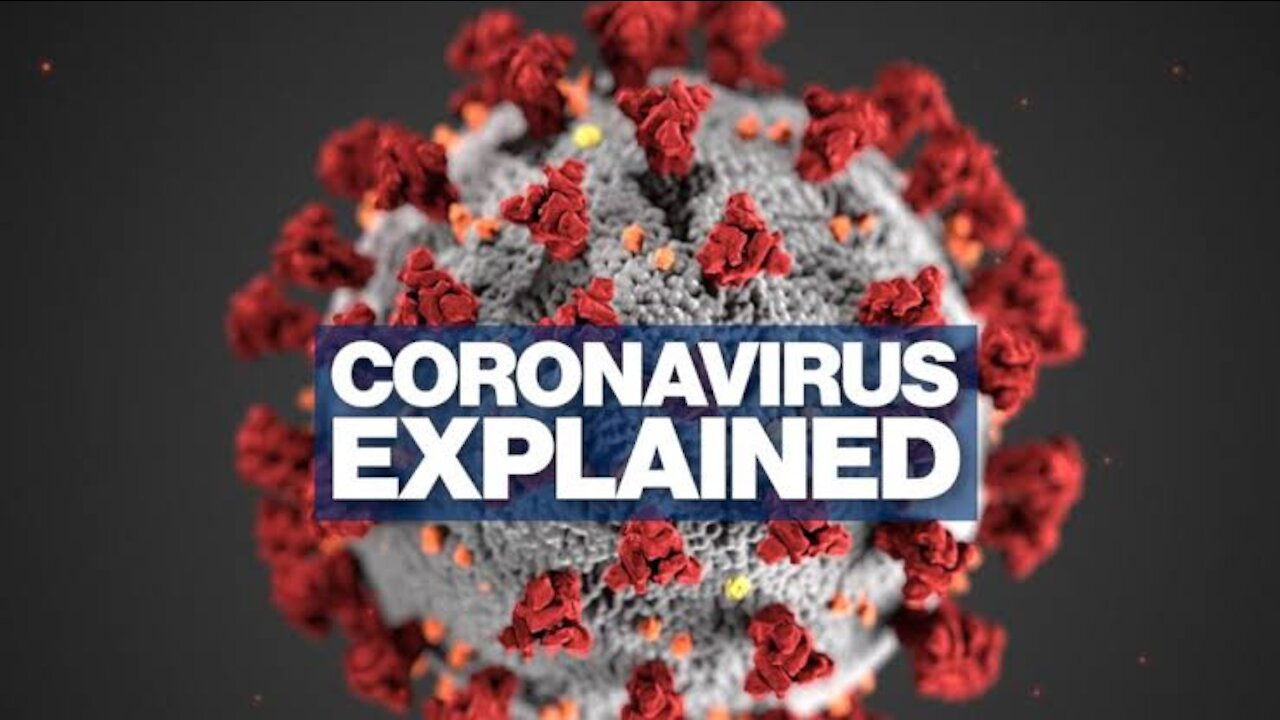 Novel Corana Virus Explained | News