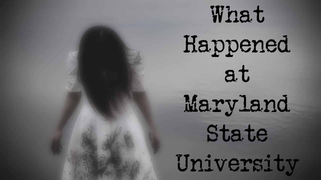 What Happened at Maryland State University | Book Trailer