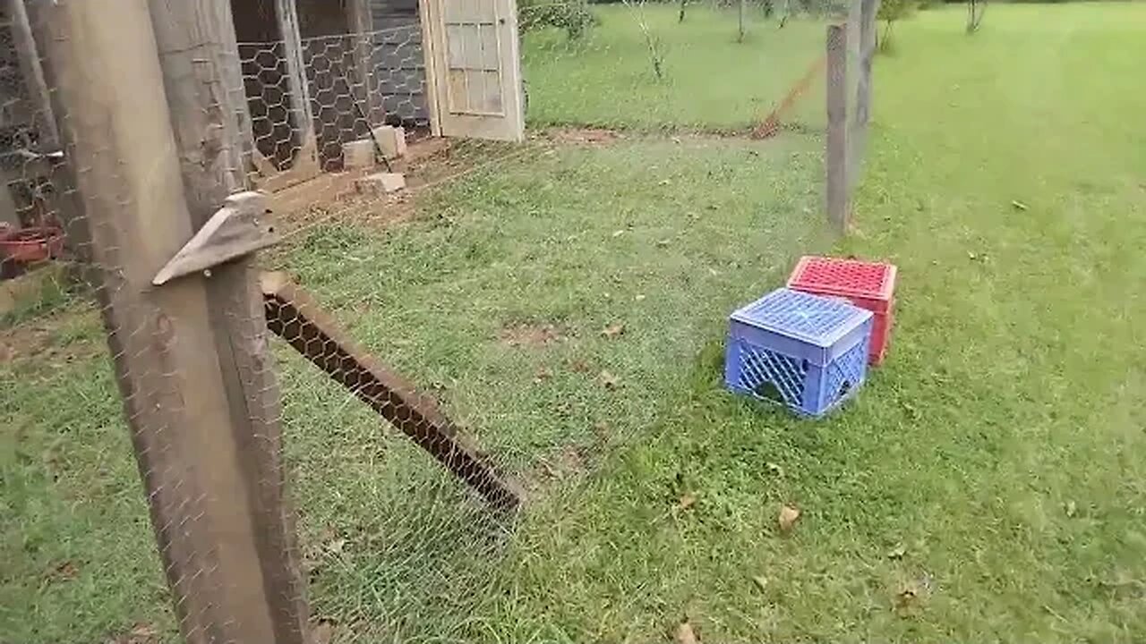 Off Grid test Run. Prepping 2022 2023