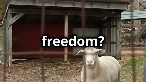 Animal Farm, Chapter Two: The Revolution Begins