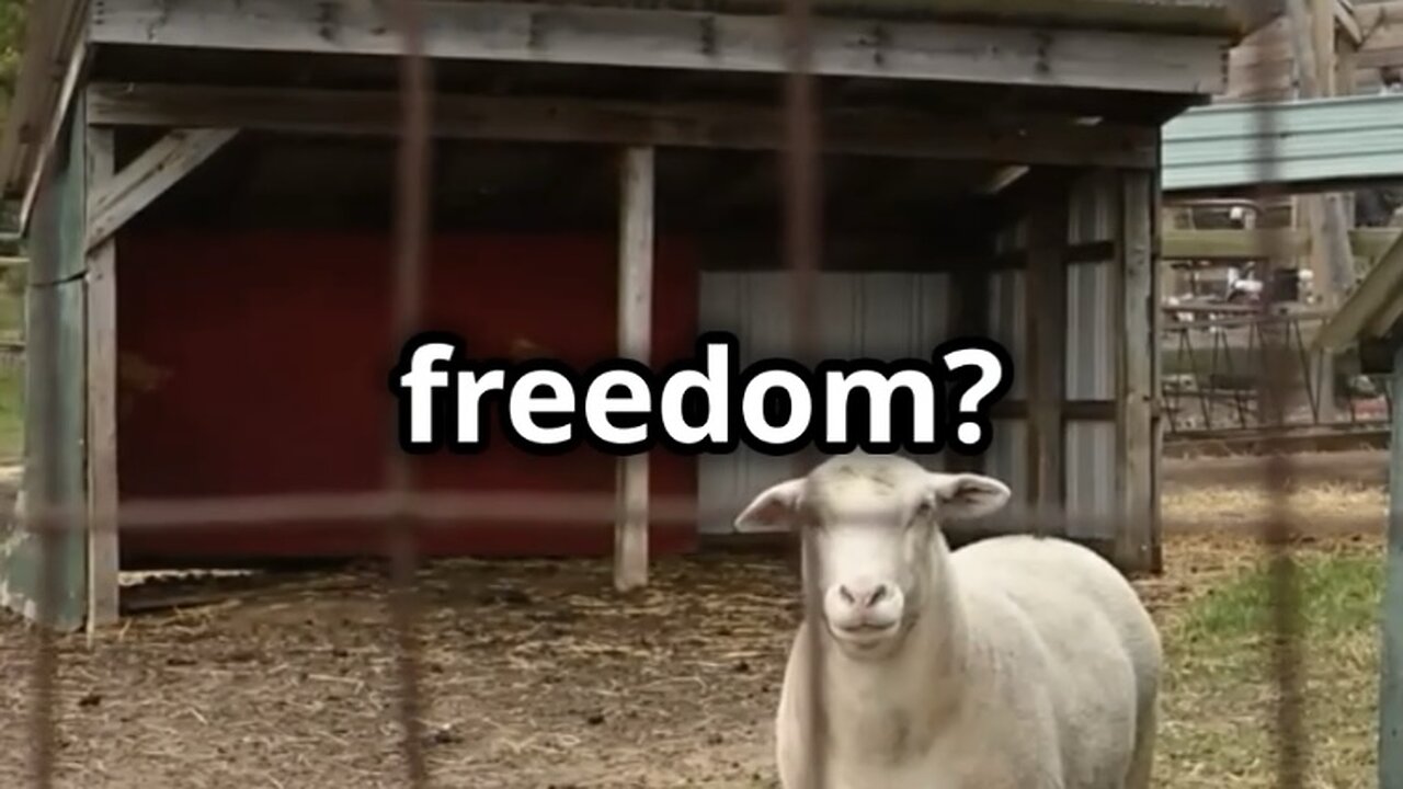 Animal Farm, Chapter Two: The Revolution Begins