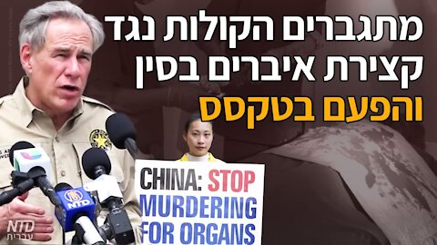 מתגברים הקולות נגד קצירת איברים בכפייה בסין והפעם בטקסס
