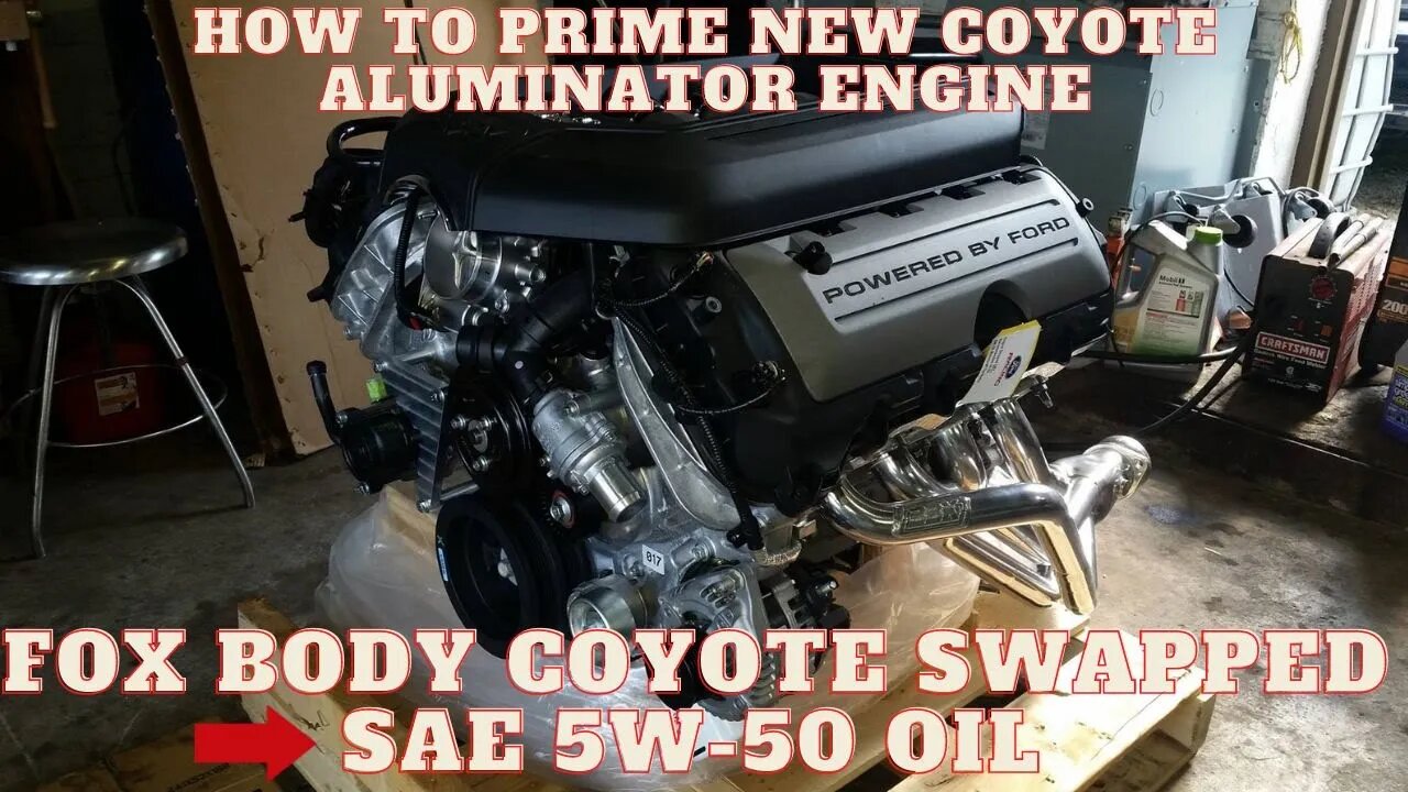 Ford 5.0L Coyote Engine priming it with 5W-50 Motorcraft oil.