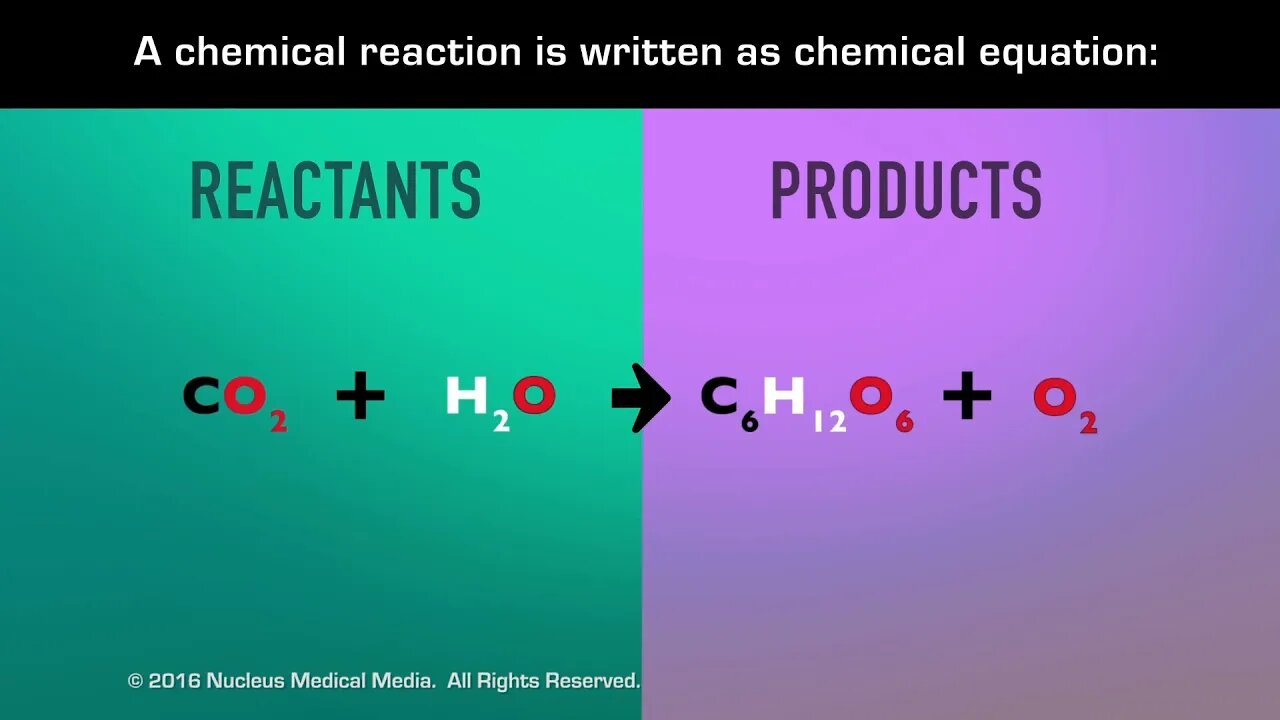 Chemical Reactions