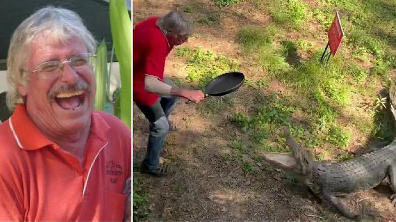 Man fights off the crocodile with frying pan