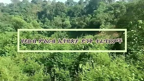 #ኮይሻ #ጨበራጩርጩራ #ኦሞ #ደቡብምዕራብ#ቦንጋ የደቡብ ምዕራብ ኢትየጵያ ድንቅ የተፈጥሮ ስጦታዎች