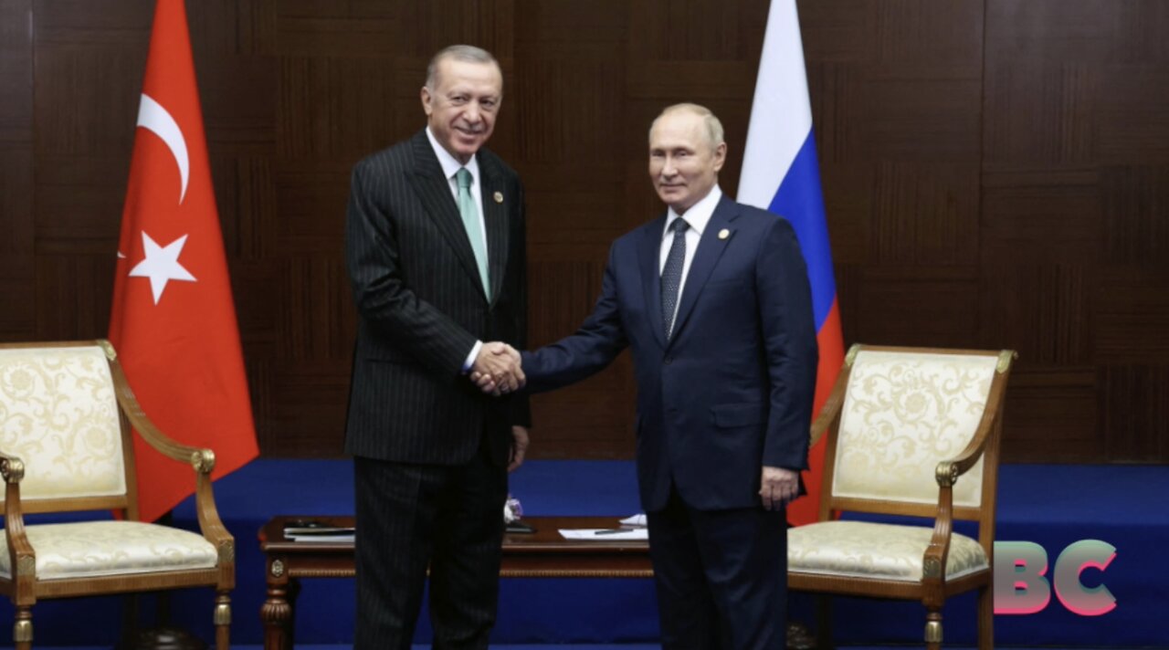 Putin to meet Erdogan amid push to revive grain deal