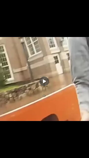 Snowflake takes a sign she dislikes and quickly learns actions have consequences.