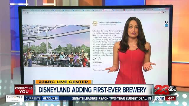 First Brewery to Open in Disneyland