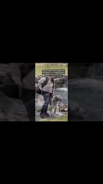 Feel it coming... #dogsworld #dogbreed #teamdog #doglover #dogtraining