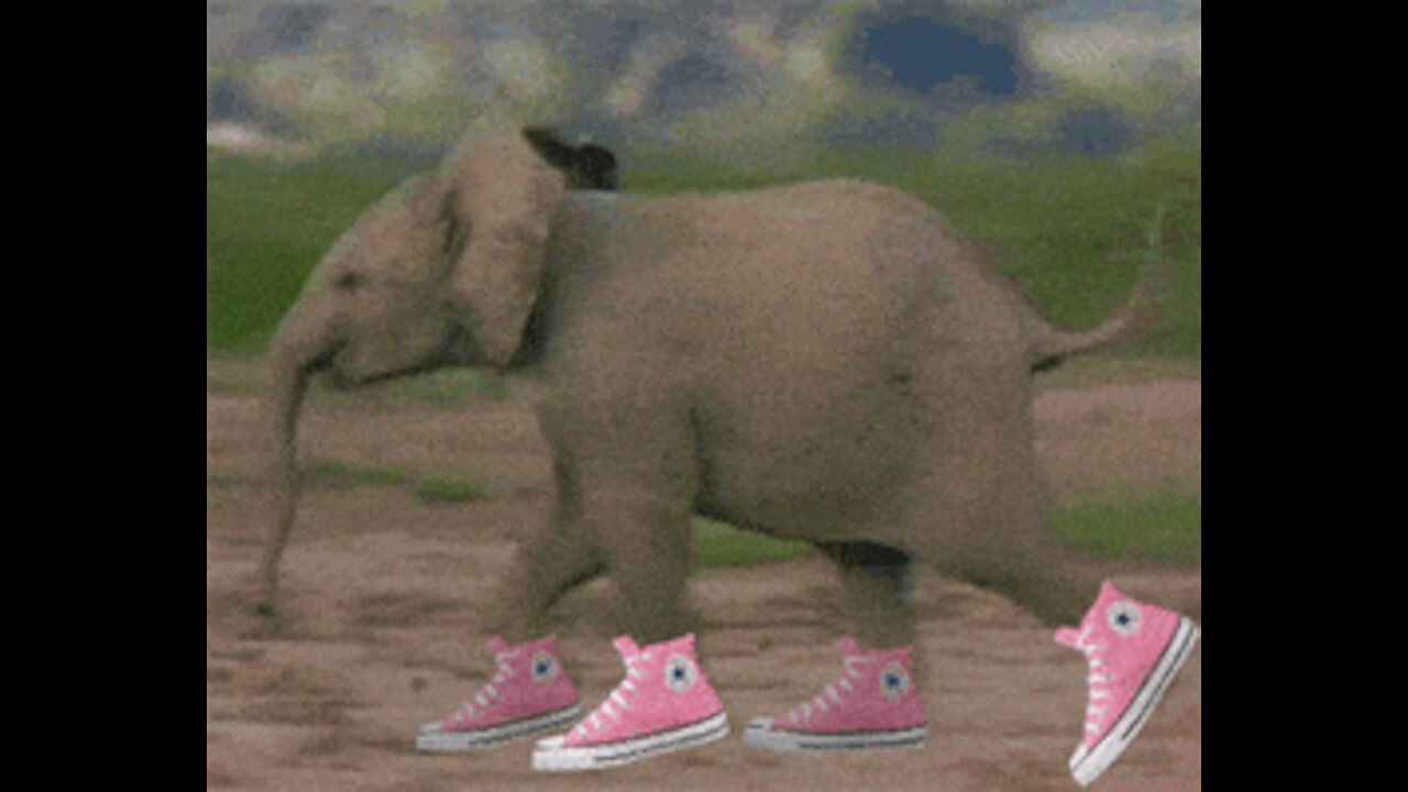 Interesting Nature Animal Games, Funny, Sometimes Scary And Dangerous.