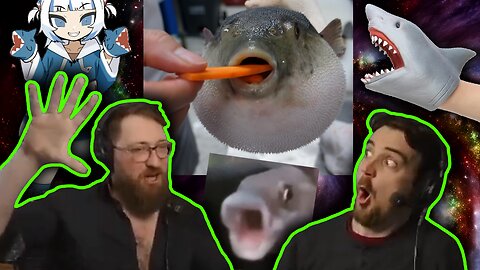 Which Fish On Your Fish Hands? - Tom and Ben