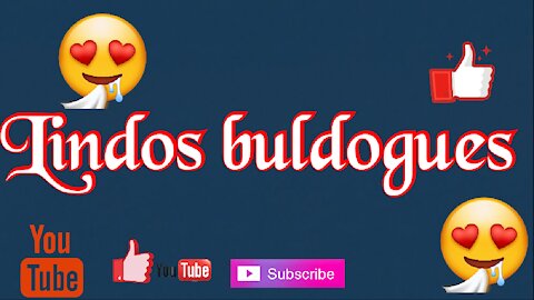 beautiful bulldogs ❤️