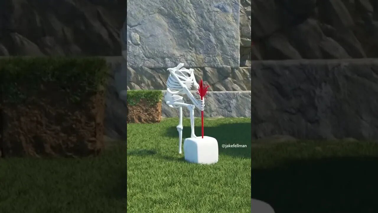 Amazing and Trending videos on YouTube 2022