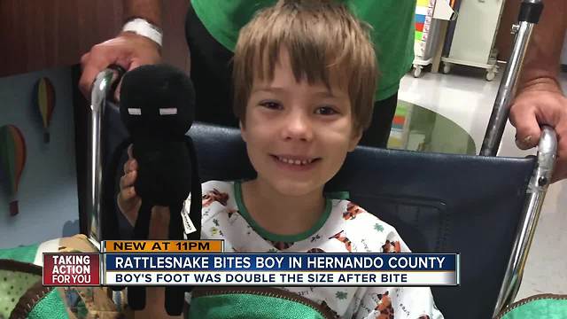 Family faces tens of thousands in medical bills after boy gets bitten by venomous snake