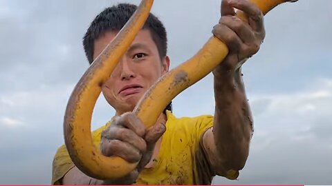 Holding an eel weighing more than one catty is as exciting as holding the hand of your first love.