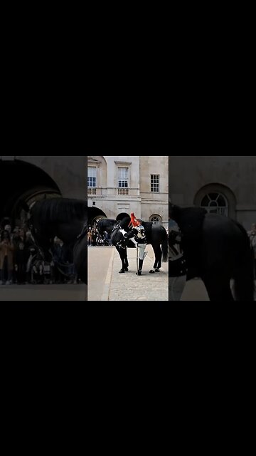Dismount the horse blues and royals #horseguardsparade
