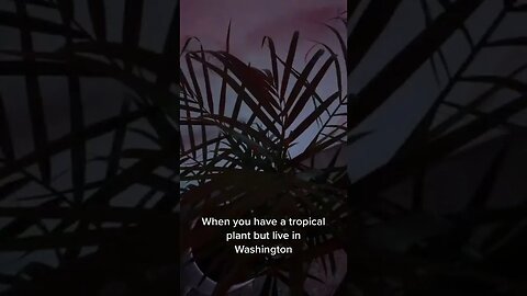 Don’t forget to shake to simulate wind! 😂 Video By makennapriice #Shorts
