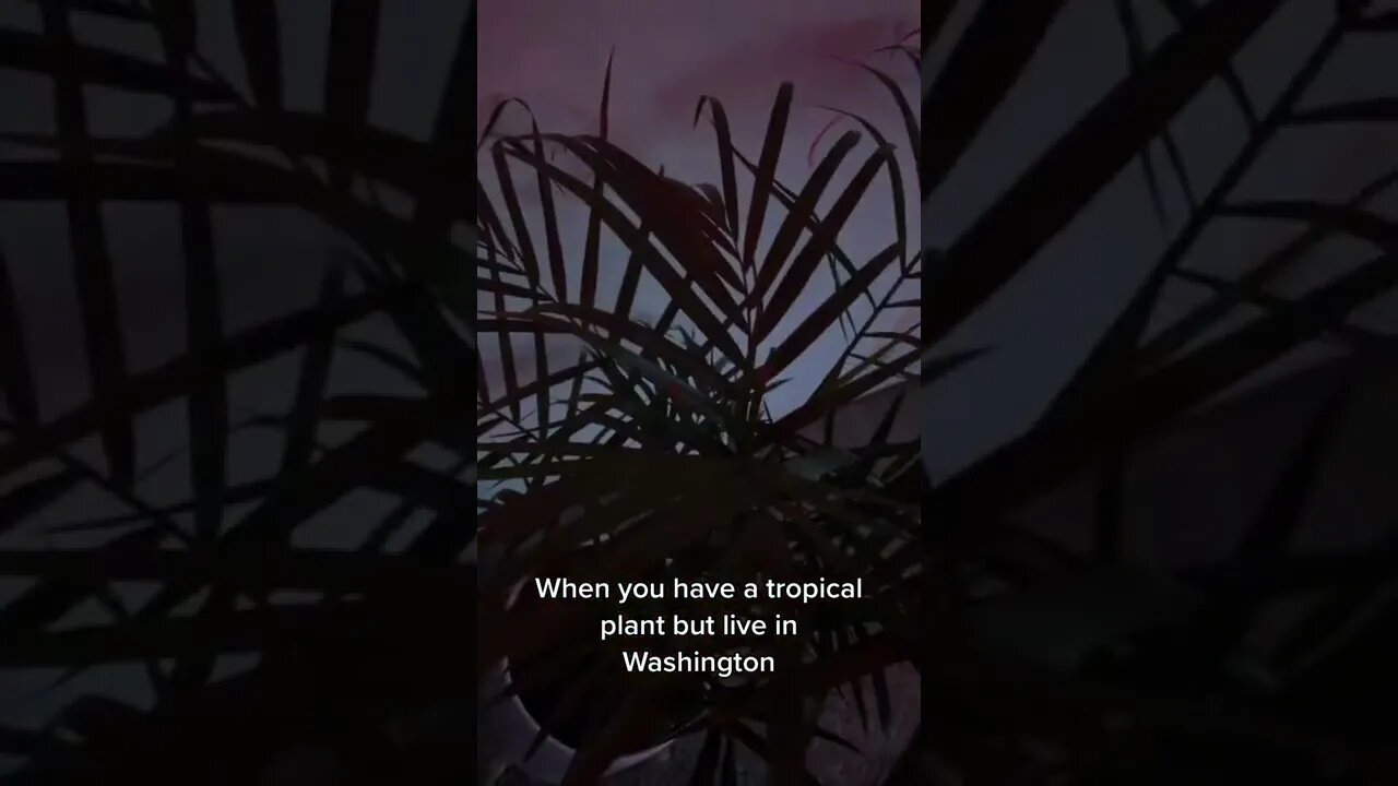 Don’t forget to shake to simulate wind! 😂 Video By makennapriice #Shorts