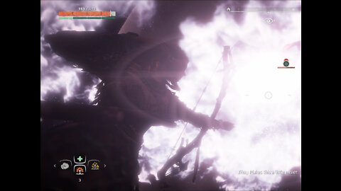 Horizon: Zero Dawn - Bird Battle and some Gators!