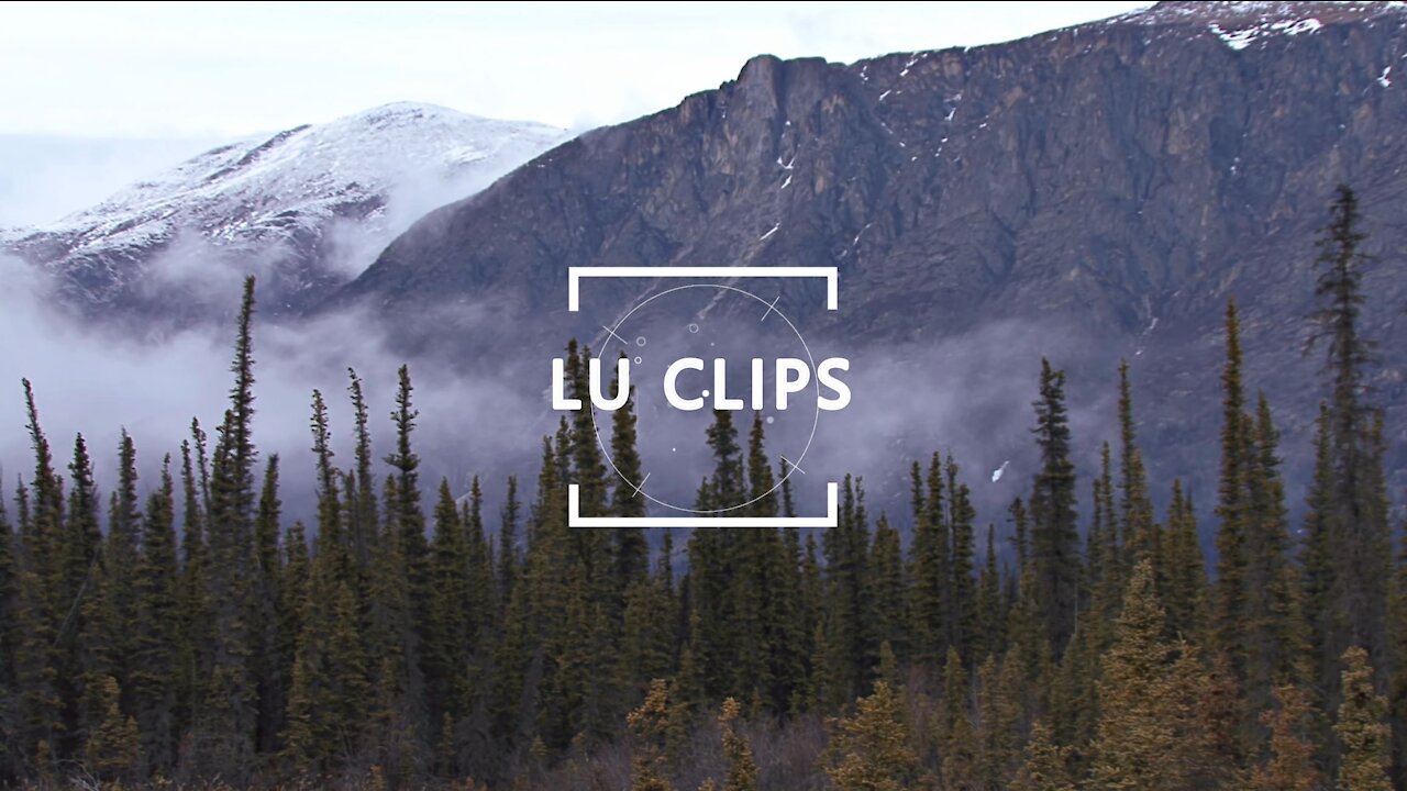 LU Clips - Tom Messick Disappearance Theories