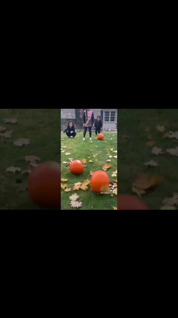 #pumpkins - #shorts by #tinyjuniorpeanut at #activatestudio 1036