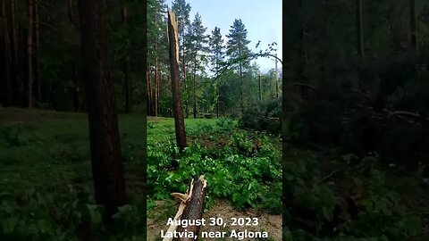 August 30, 2023. Latvia, Aglona