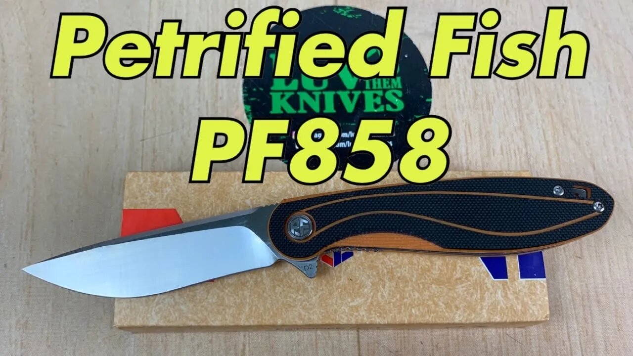 Petrified Fish PF858 / includes disassembly/ small budget gent carry !