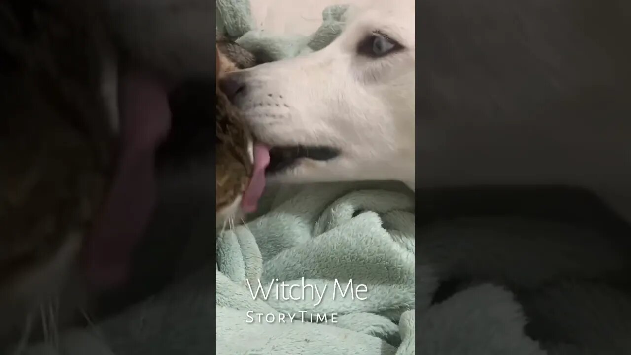 Lily helps clean her sister