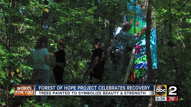 Hundreds gather in Baltimore County park to paint trees to celebrate addicts in recovery