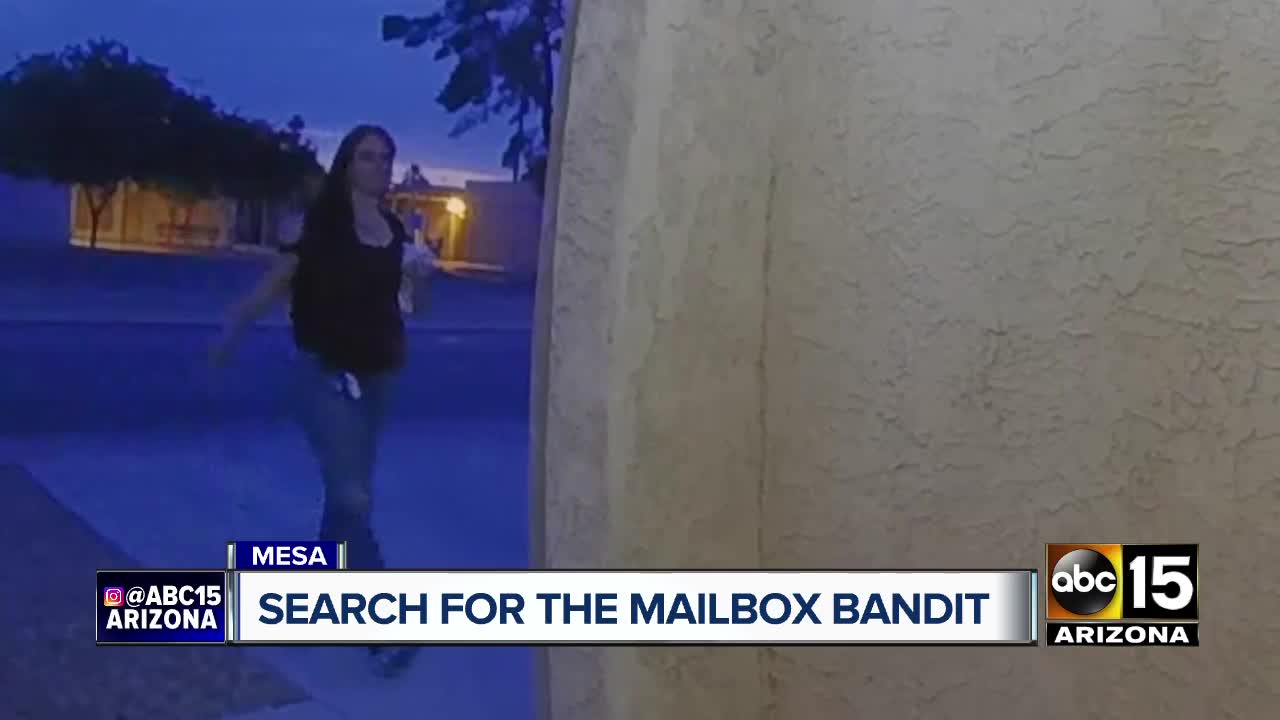 Search on for Mesa mail thief