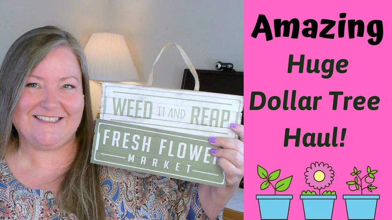 Amazing Huge Dollar Tree Haul! ~ New at Dollar Tree This Week 05/18/21 ~ Weekly Dollar Tree Haul