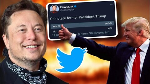 Trump Responds To Elon Musk Twitter Poll with Praise - Will He Really ComeBack?