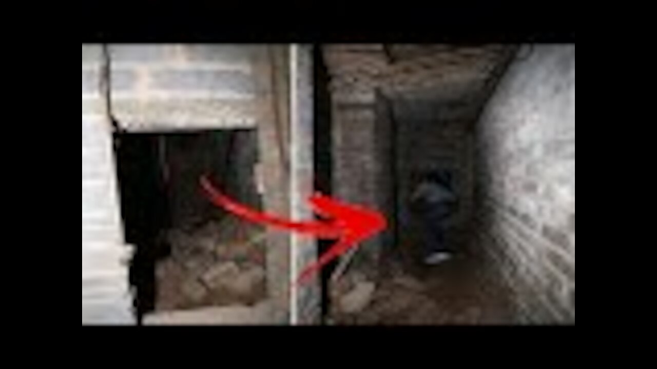 Man Finds Tunnel In Basement, Quickly Realizes He's Not Alone