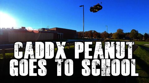 Taking the Caddx Peanut and Happymodel Cine8 to School