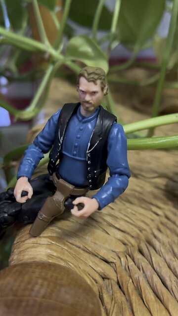 Happy Indoor Plant Week!